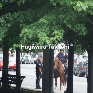 バッテリーパーク　騎馬パトロール